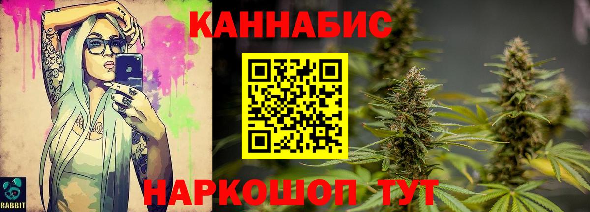 Марихуана сатива Славгород